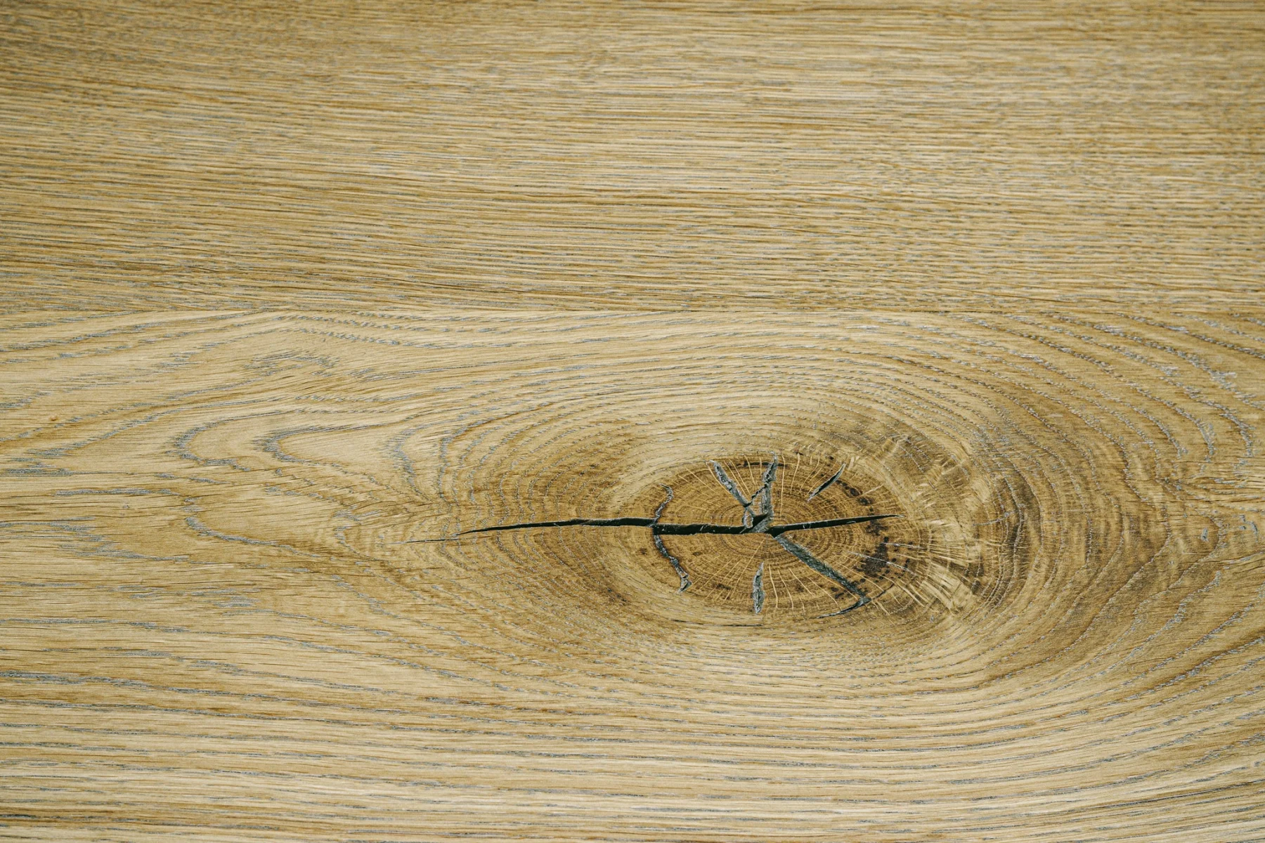 Montauk 24" detail