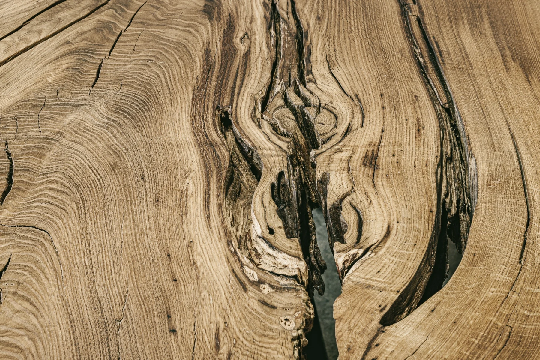 Beaufort 122" detail