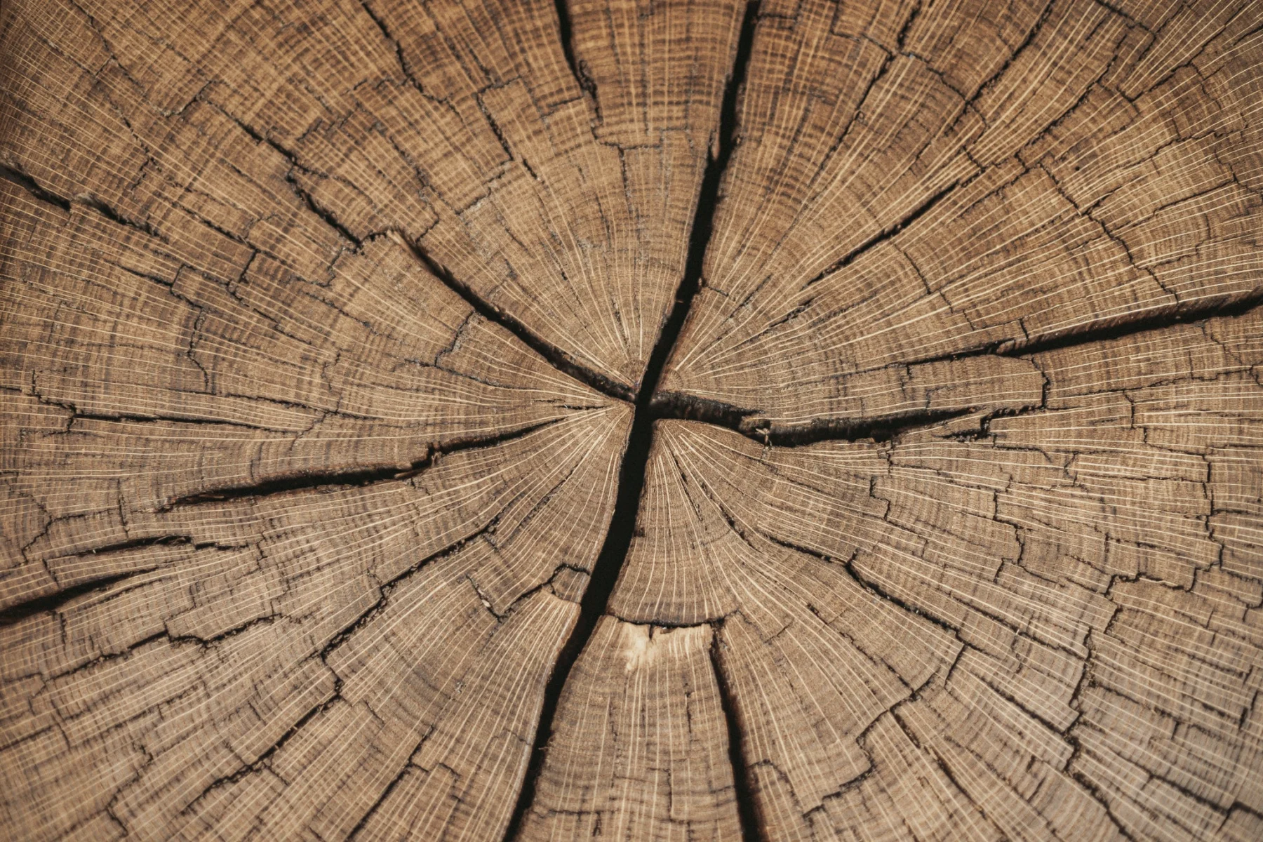 Portofino 16" detail